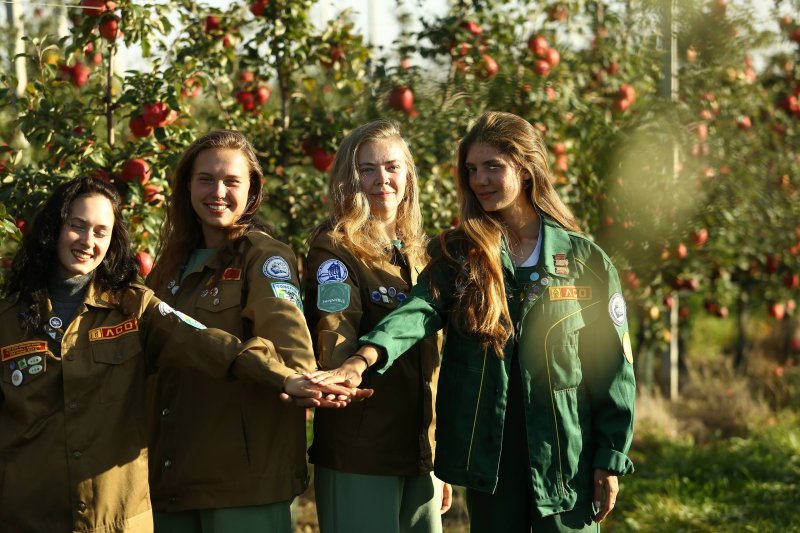 Экологические проекты